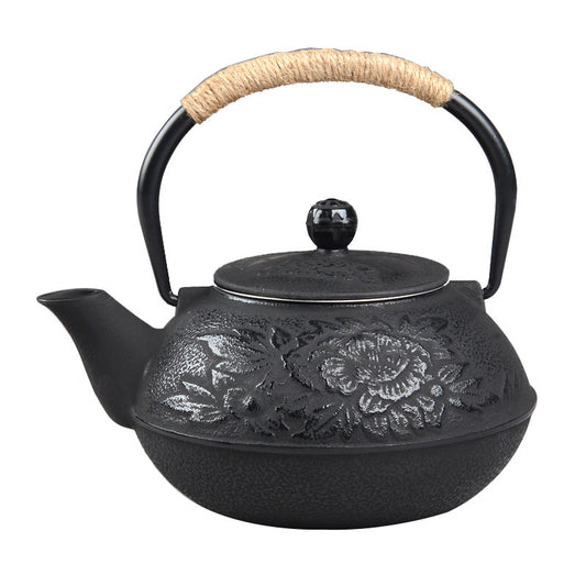 Ruishoutang Cast Iron Teapot Handmade tea Pot Kungfu Tea Set