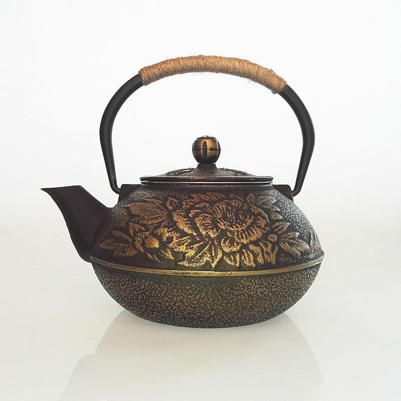 Ruishoutang Cast Iron Teapot Handmade tea Pot Kungfu Tea Set